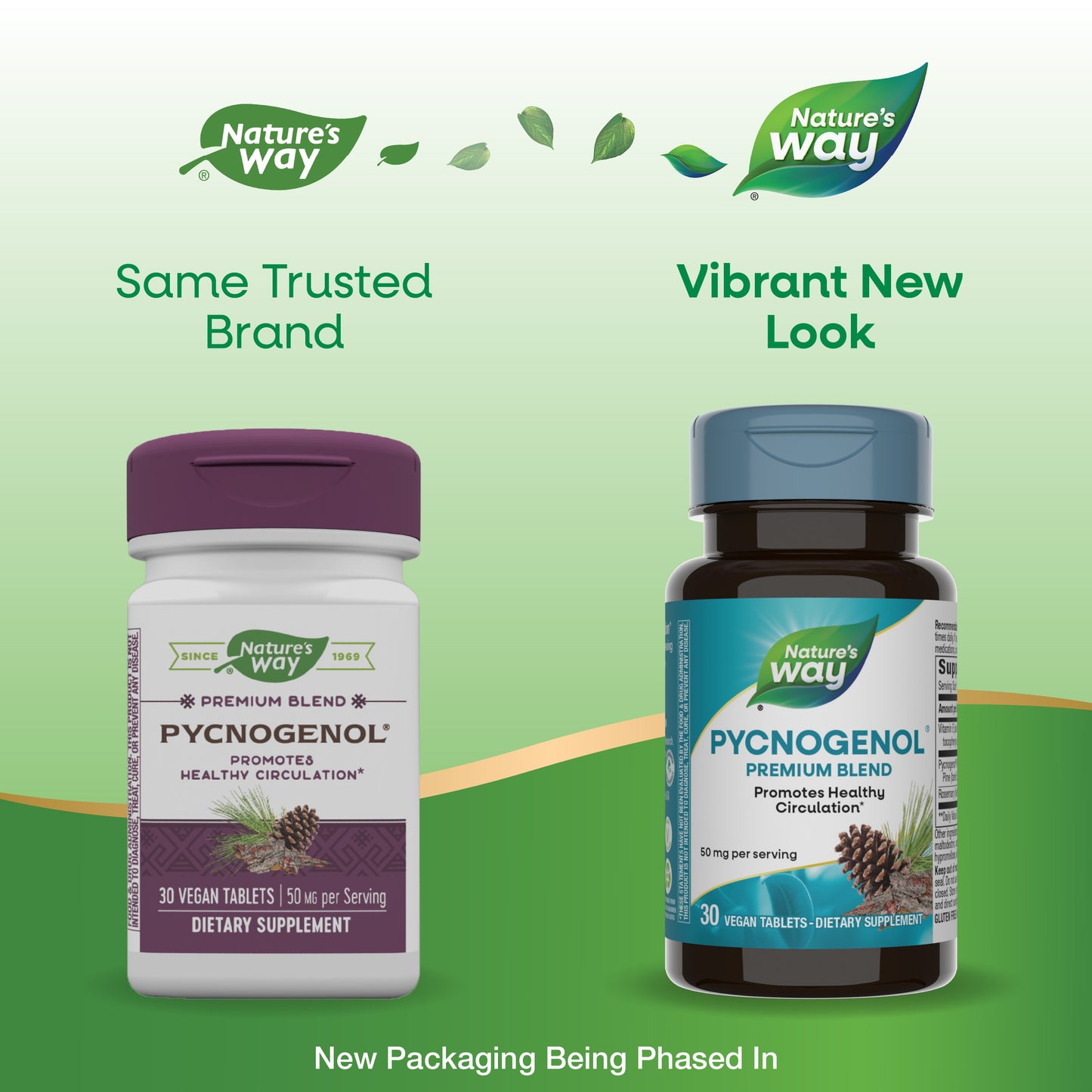 <{%MAIN1_45151%}>Nature's Way® | Pycnogenol Premium Blend