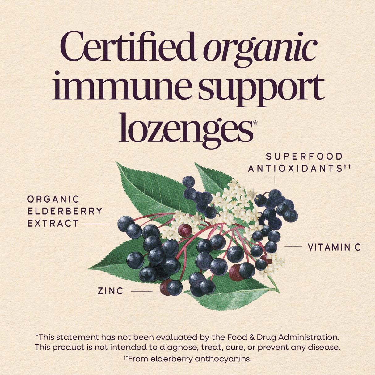 <{%MAIN2_12088%}>Nature's Way® | Sambucus Immune Lozenges