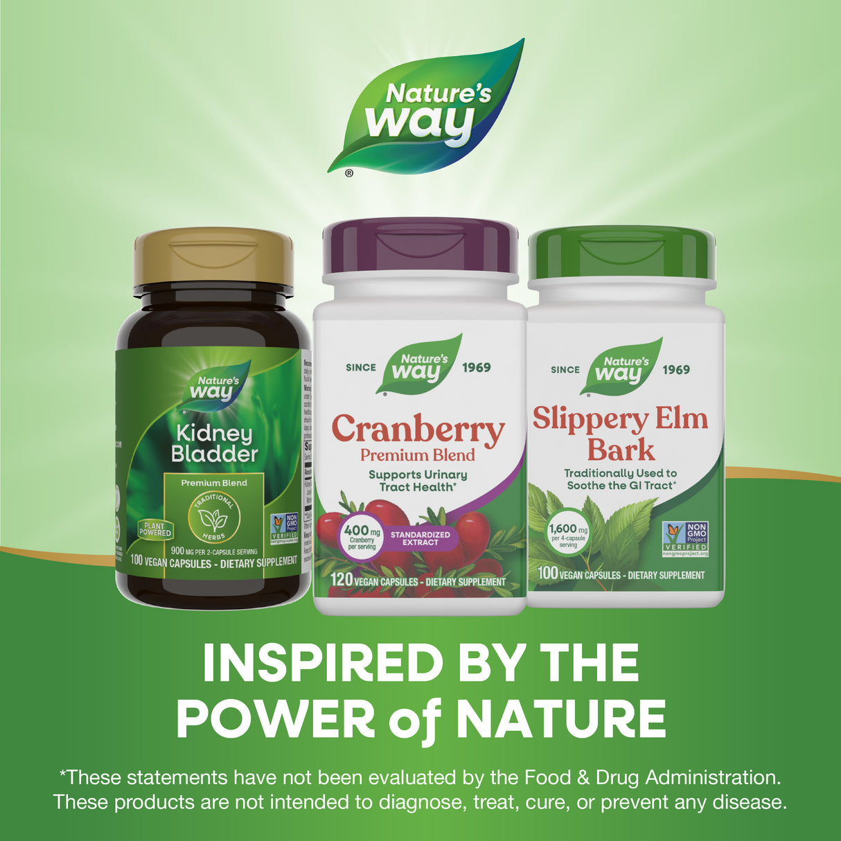<{%MAIN5_15135%}>Nature's Way® | Cranberry Premium Blend