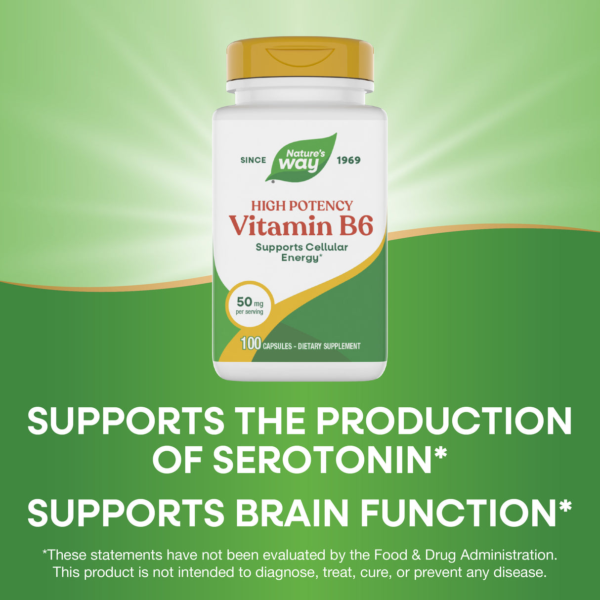 <{%MAIN3_40431%}>Nature's Way® | Vitamin B6 High Potency
