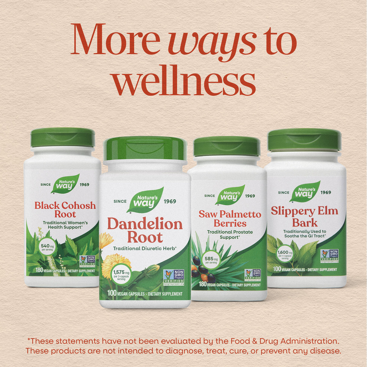 <{%MAIN13_12300%}>Nature's Way® | Dandelion Root
