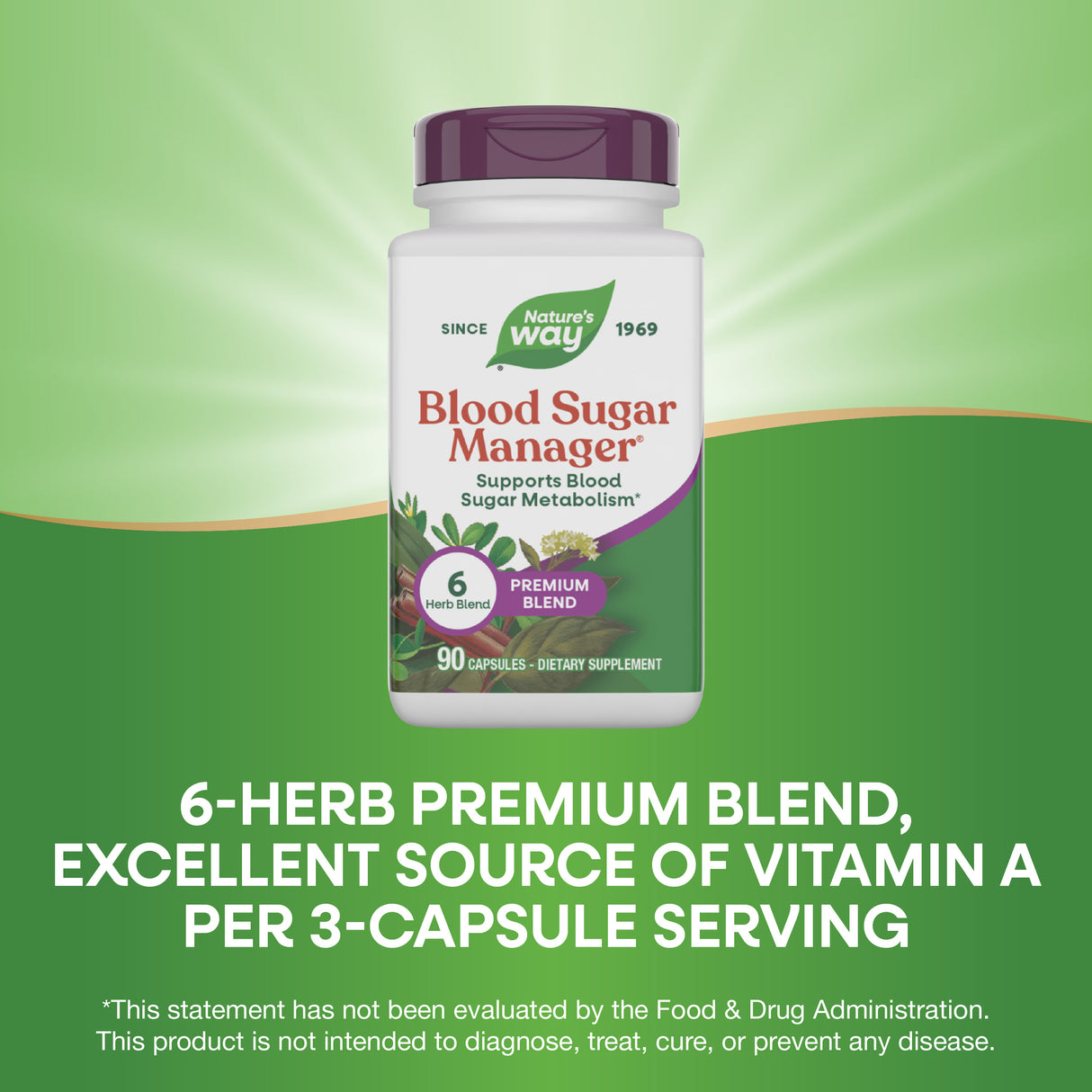 <{%MAIN3_79200%}>Nature's Way® | Blood Sugar Manager