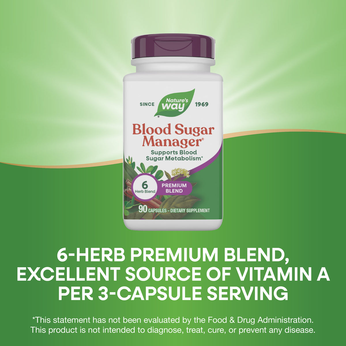 <{%MAIN3_79200%}>Nature's Way® | Blood Sugar Manager