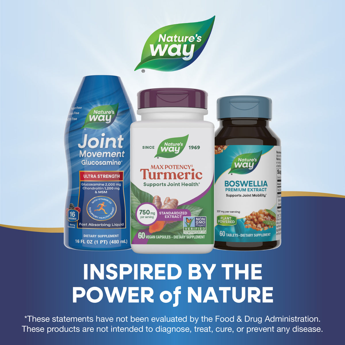 <{%MAIN5_undefined%}>Nature's Way® | Turmeric Max Potency‡