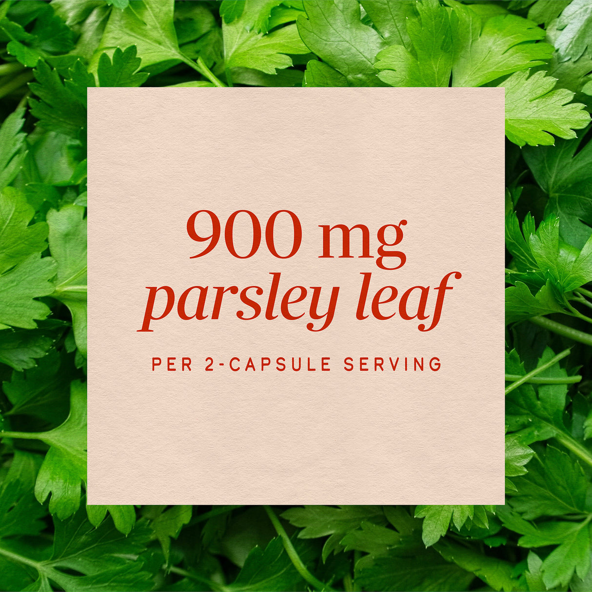 <{%MAIN3_15300%}>Nature's Way® | Parsley Leaf