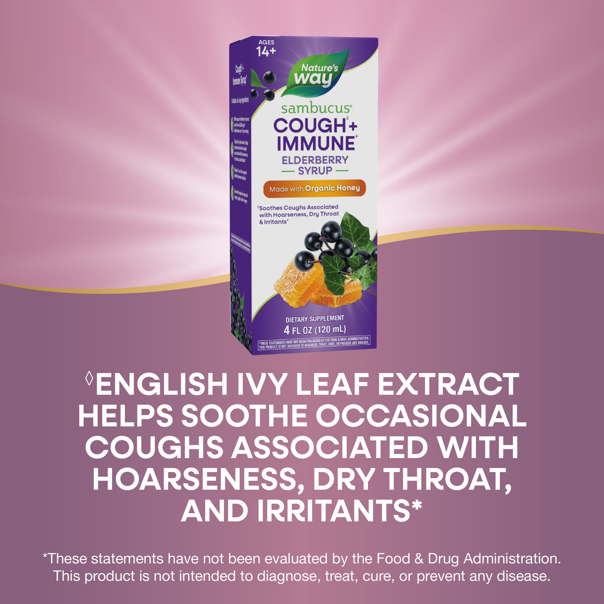 <{%MAIN3_13313%}>Nature's Way® | Sambucus Cough +♢ Immune* Elderberry Syrup