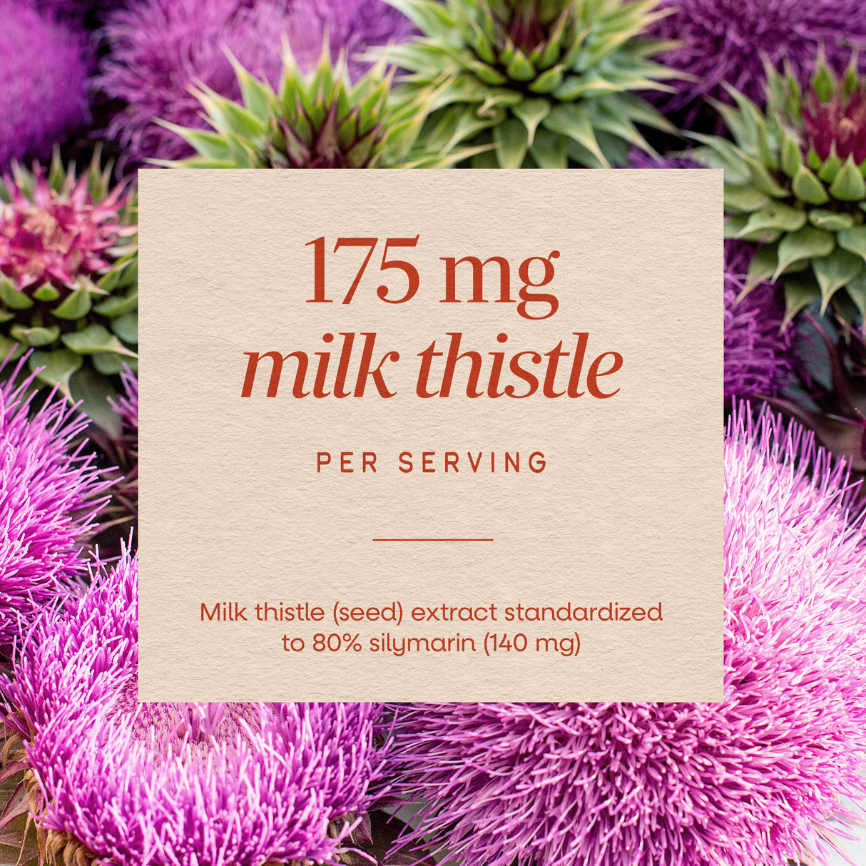 <{%MAIN3_6958%}>Nature's Way® | Thisilyn Milk Thistle Extract
