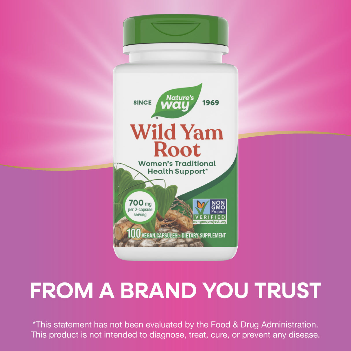 <{%MAIN3_17870%}>Nature's Way® | Wild Yam Root