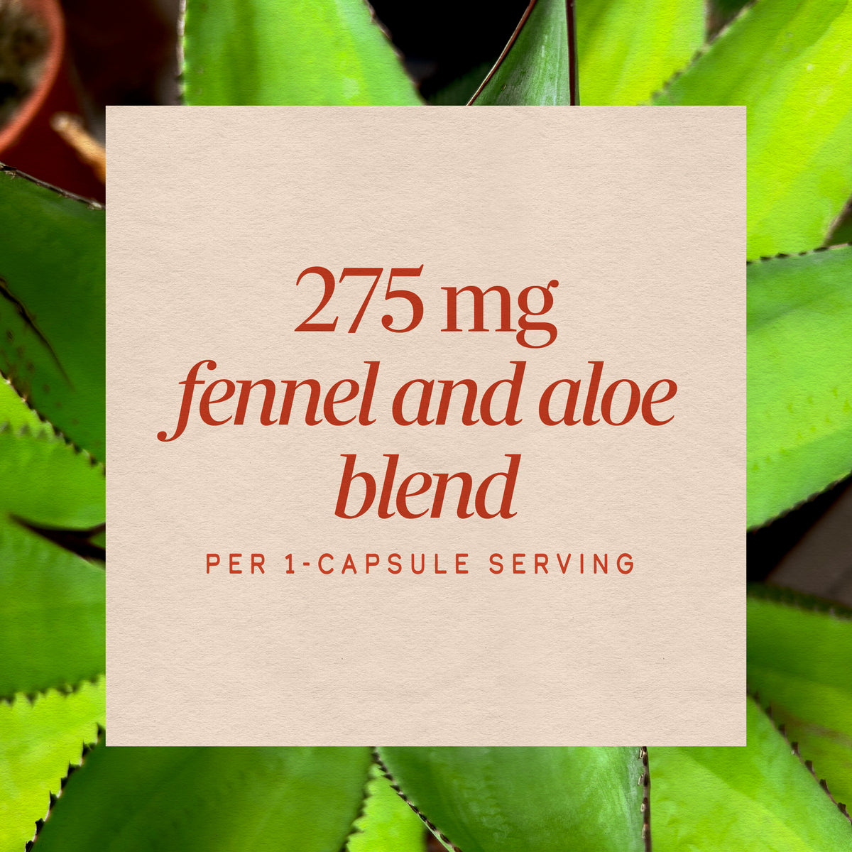 <{%MAIN3_10150%}>Nature's Way® | Aloe Latex With Fennel