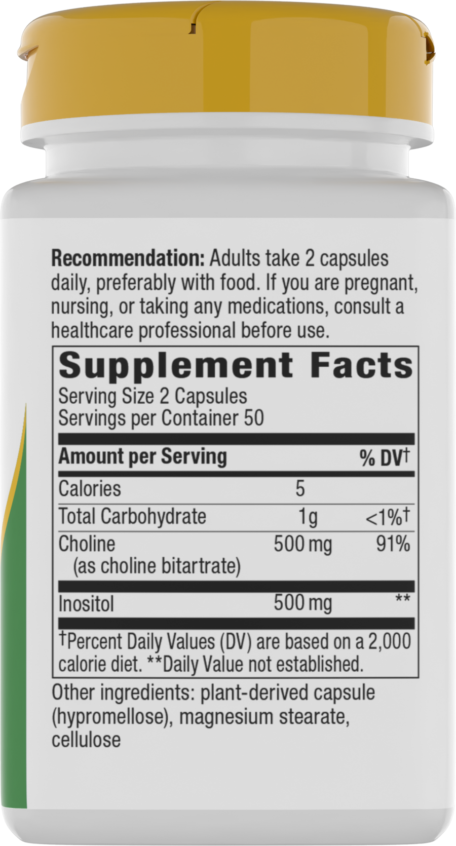 <{%360IMAGE1_40462%}>Nature's Way® | Choline & Inositol - right side of pack
