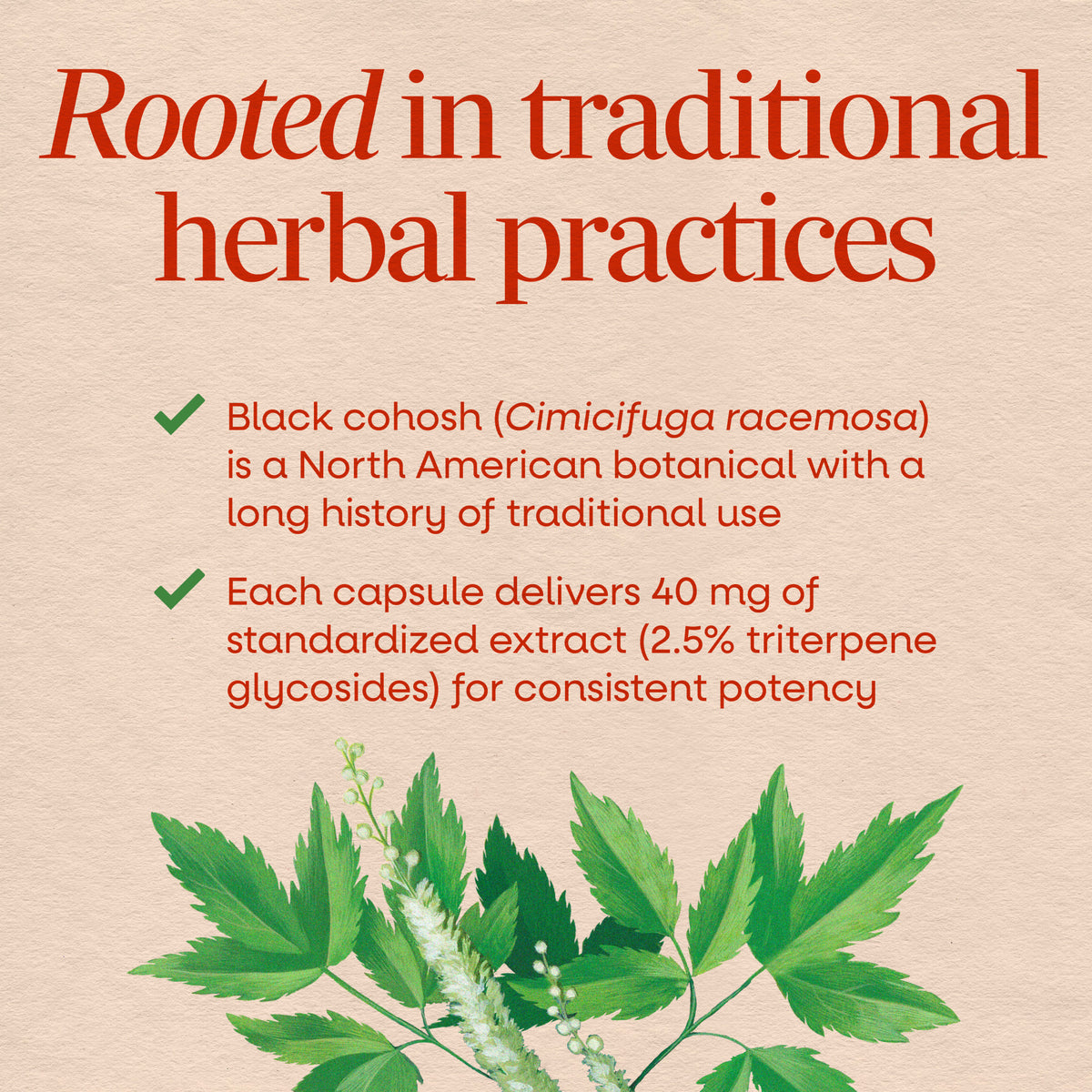 <{%MAIN2_15353%}>Nature's Way® | Black Cohosh