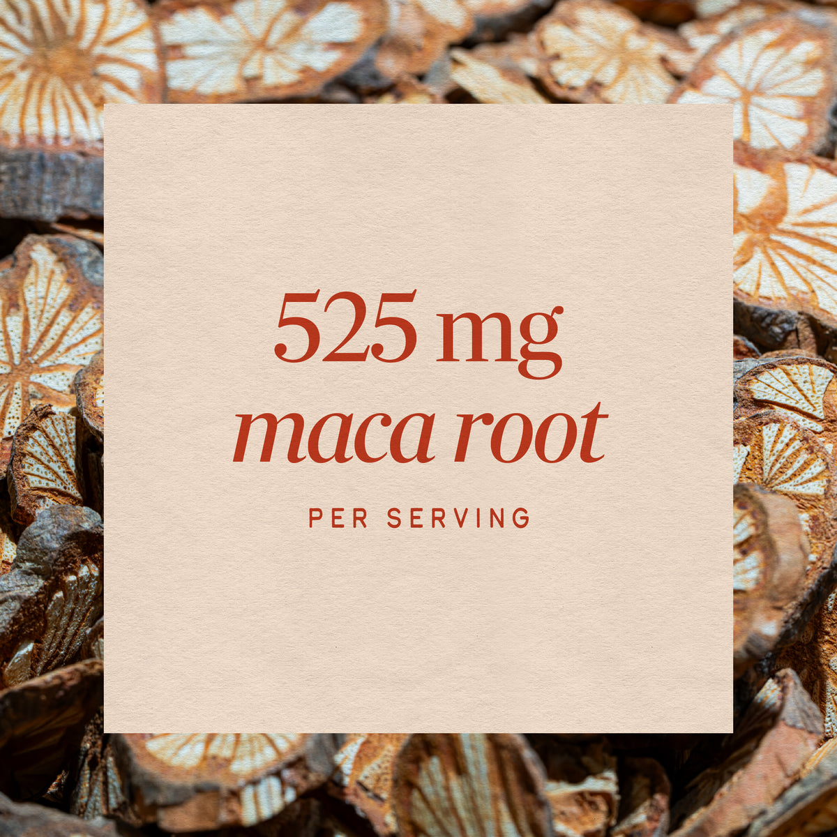 <{%MAIN3_15310%}>Nature's Way® | Maca Root