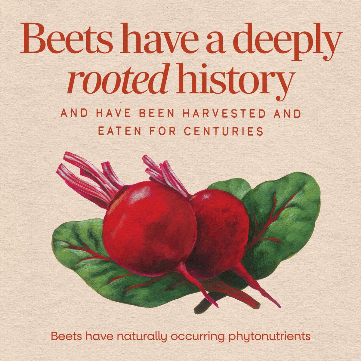<{%MAIN9_11925%}>Nature's Way® | Beet Root