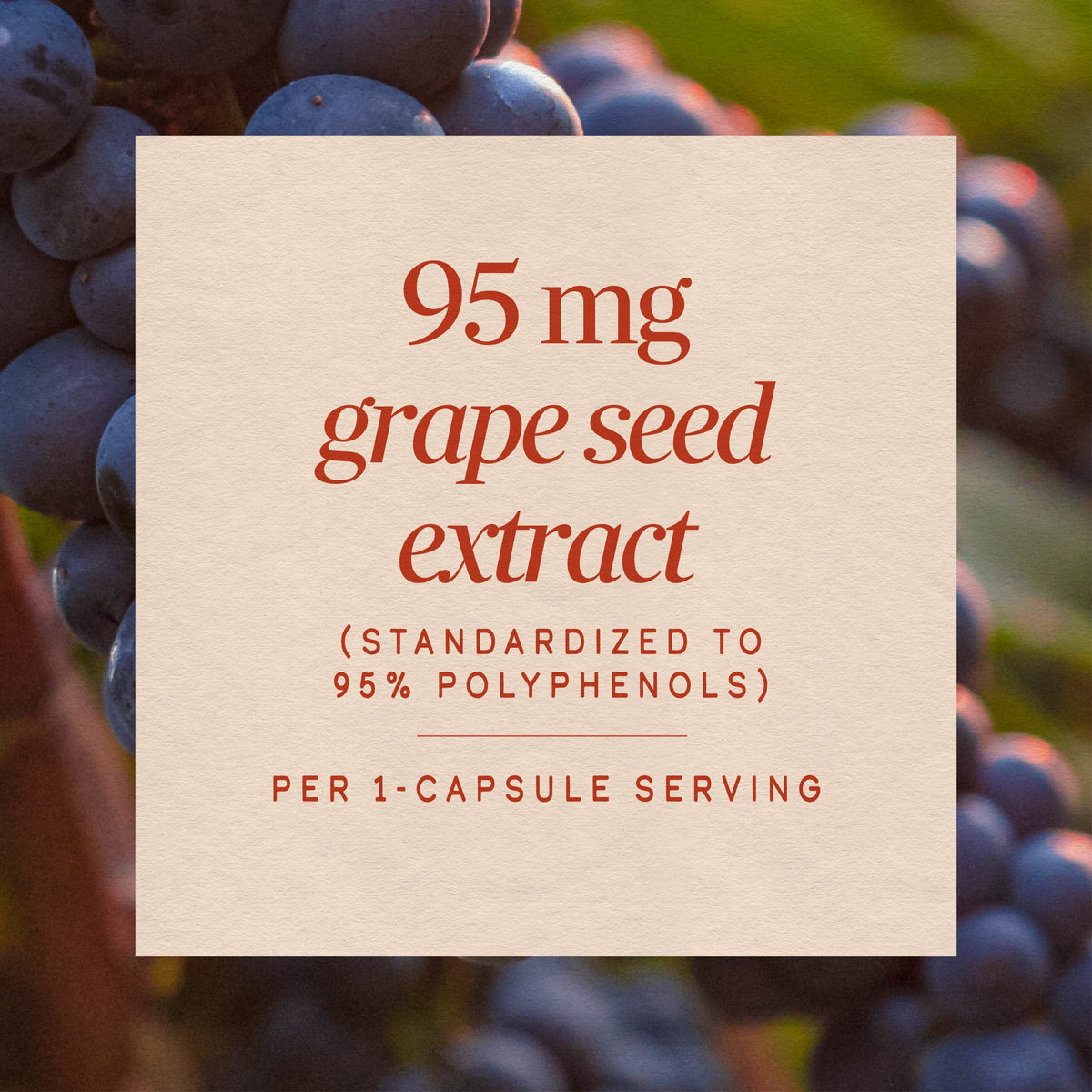 <{%MAIN3_15352%}>Nature's Way® | Grape Seed Standardized Extract