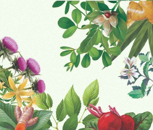 Illustration of various plants and flowers on a light green background