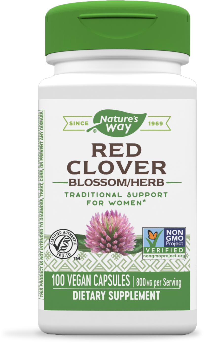Modig klinke løn Red Clover Blossom / Herb | Nature's Way®