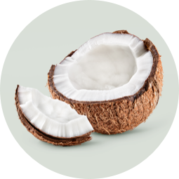 A split coconut.