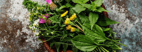 basket of herbs