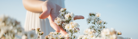 Hand touching flowers in a field.