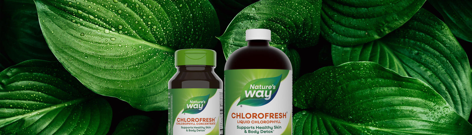 Nature's Way Chlorofresh products on a leafy background.