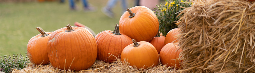 10 Wellness Activities to Check Off Your List This Fall 