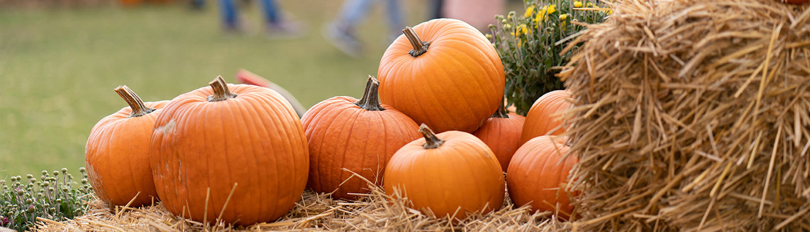 10 Wellness Activities to Check Off Your List This Fall 