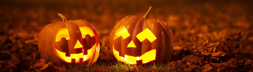 Nature’s Way Employee Fall Favorites 