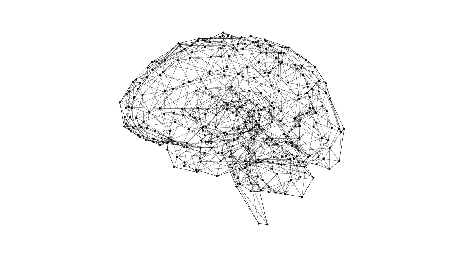 brain