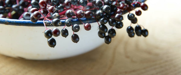 Elderberries in a bowl.