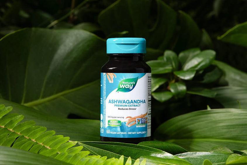 Seasonal Stress Management with Ashwagandha & Other Adaptogens*