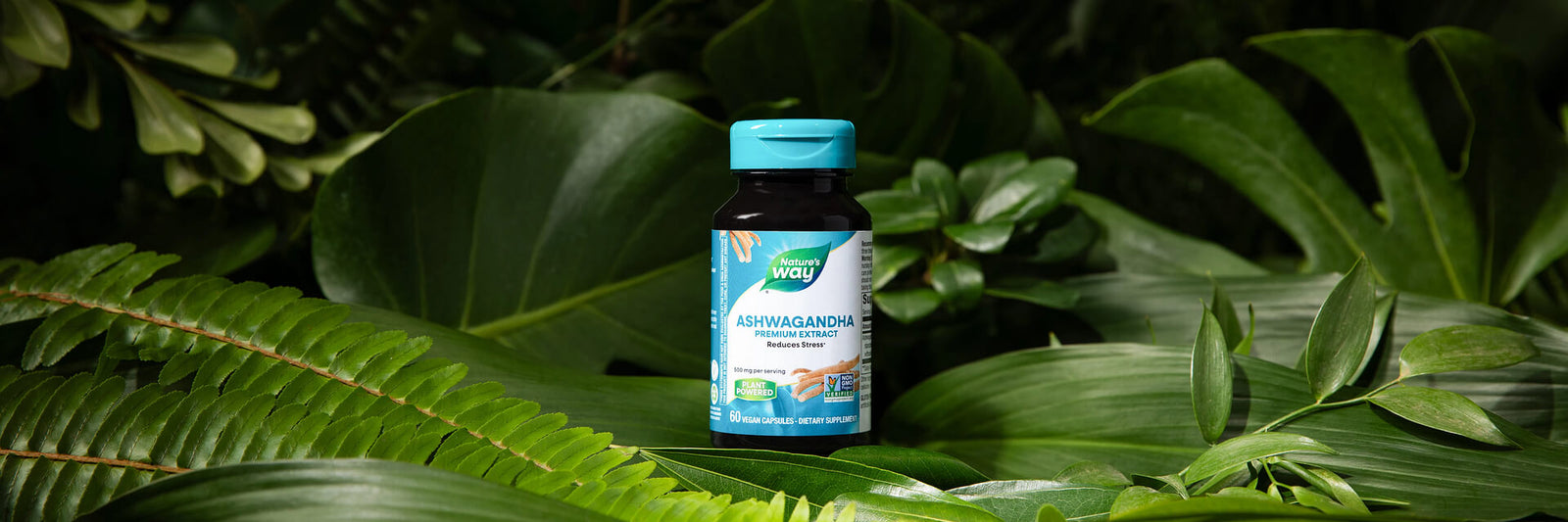 Nature's Way Ashwagandha gummy bottle