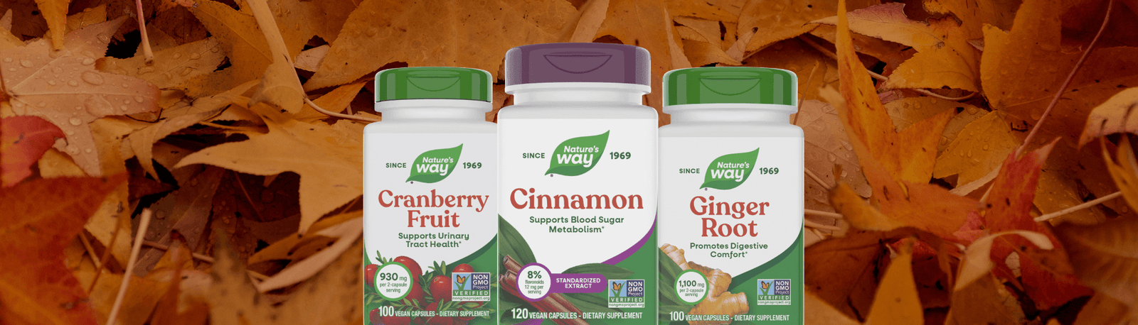 Cranberry, Cinnamon, and Ginger herbal supplements on fall leaf background