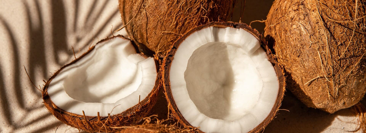 What is MCT Oil? Uses, Benefits, and Easy Ways to Add It to Your Routine