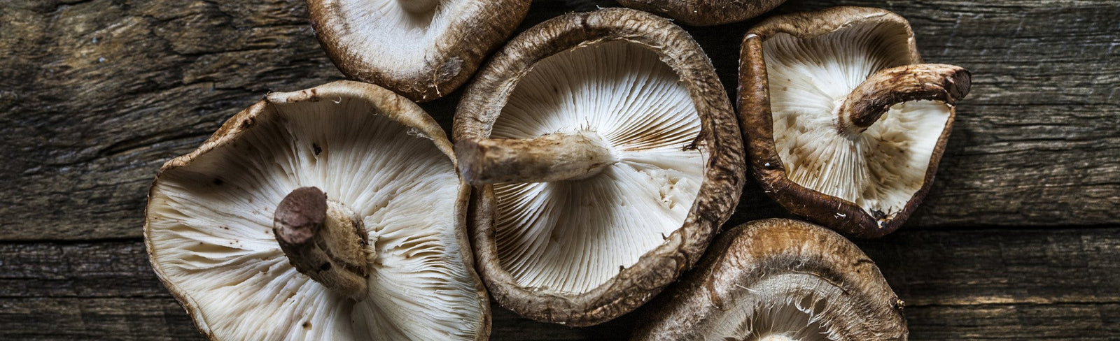mushrooms
