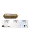 Nature's Way® | Peppermint Leaf - Capsule and ruler Sku:14160