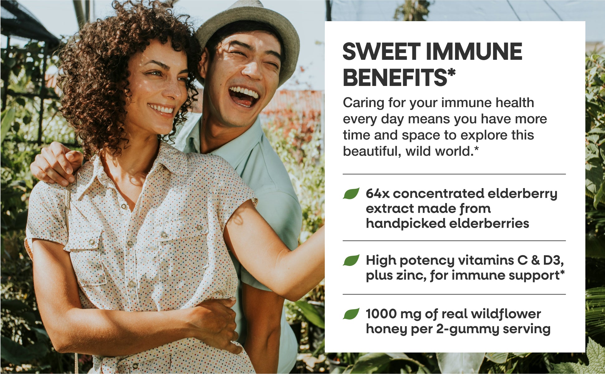 Sambucus Elderberry + Wildflower Honey Immune Gummy | Nature's Way®