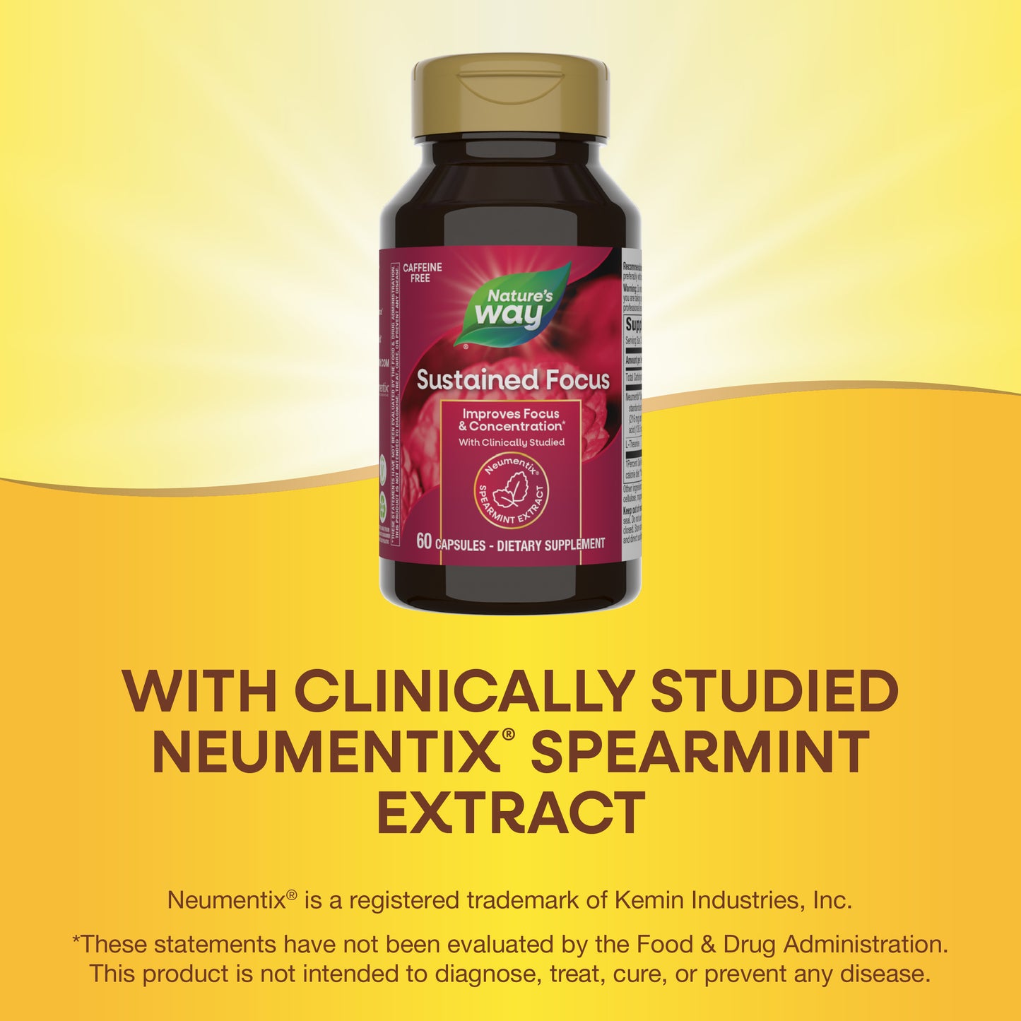<{%MAIN5_13691E%}>Nature's Way® | Sustained Focus
