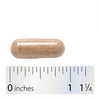 Nature's Way® | Sustained Focus - Capsule and ruler Sku:13691E