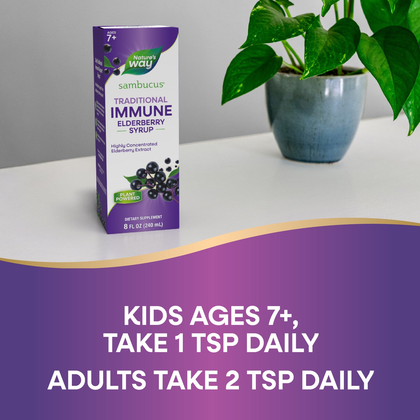 <{%DETAIL2_15332%}>Nature's Way® | Sambucus Traditional Immune Elderberry Syrup
