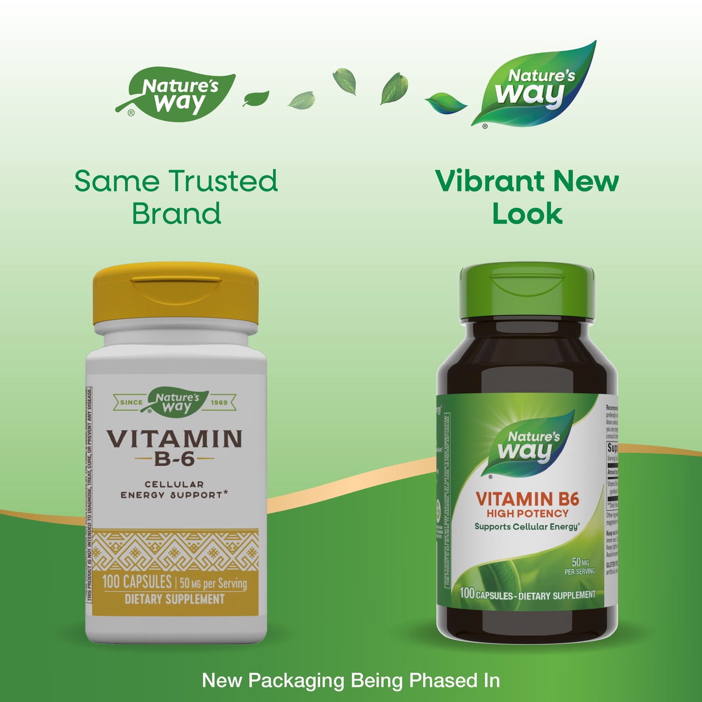 <{%MAIN1_40431%}>Nature's Way® | Vitamin B6 High Potency