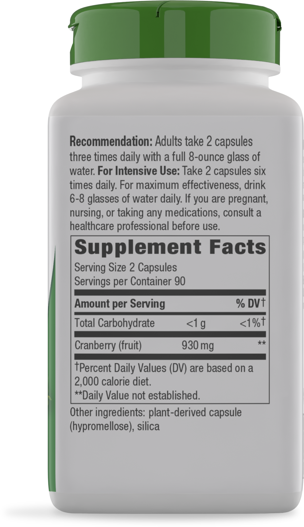 <{%MAIN10_15361%}>Nature's Way® | Cranberry Fruit - right side of pack