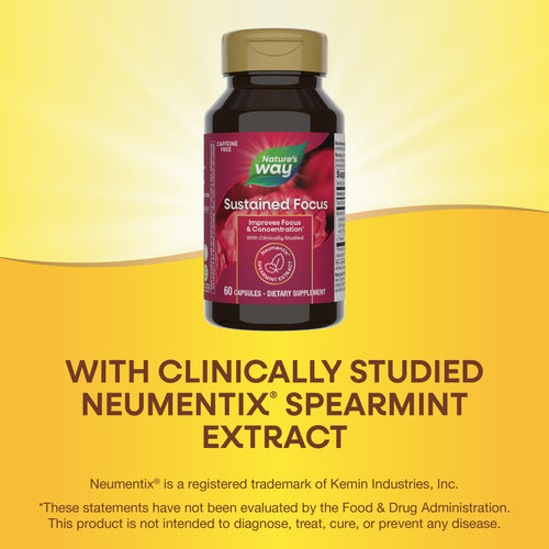 Nature's Way® | Sustained Focus Sku:13691