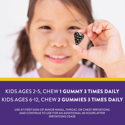 Sambucus Kids Cough Relief + Immune Gummies Supplement Facts
