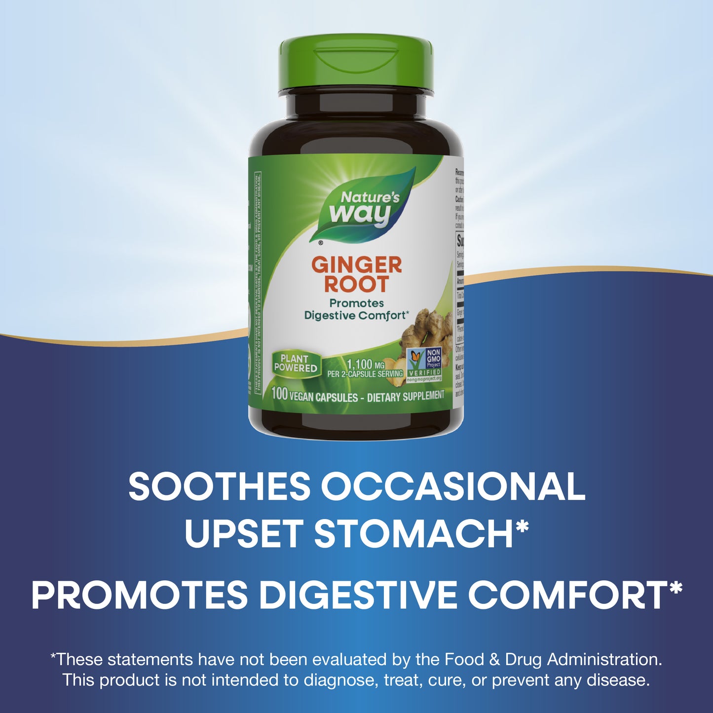 <{%MAIN12_13100%}>Nature's Way® | Ginger Root