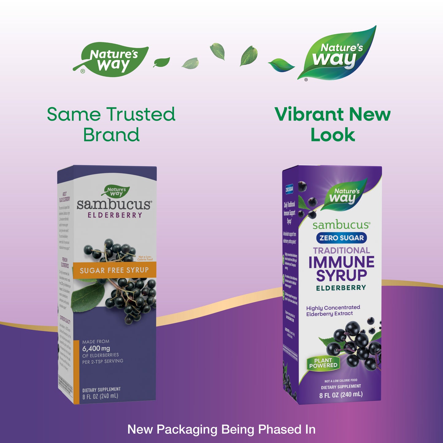 <{%MAIN9_15331%}>Nature's Way® | Sambucus Zero Sugar Traditional Immune Syrup - package updates old to new
