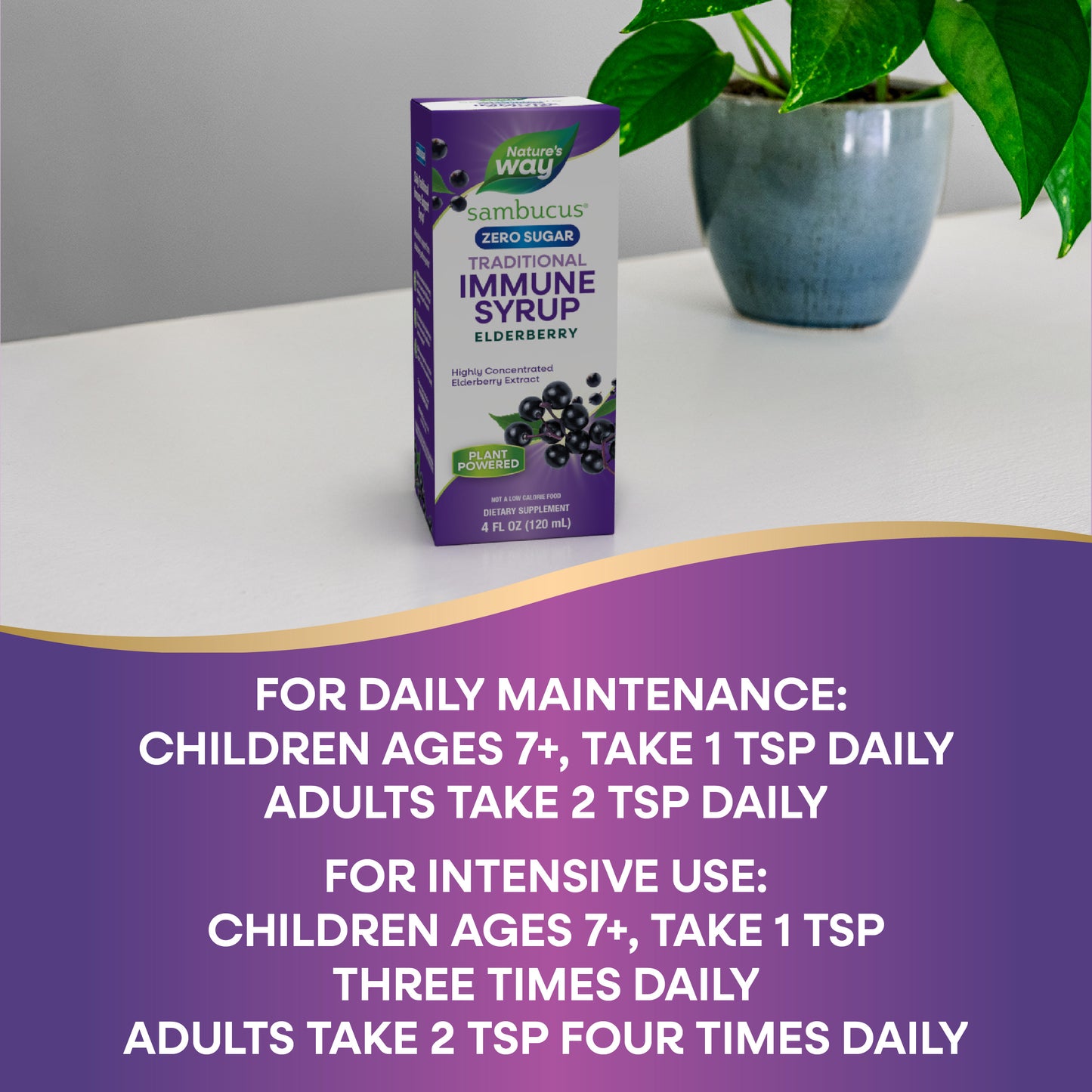 <{%DETAIL2_6971%}>Nature's Way® | Sambucus Zero Sugar Traditional Immune Syrup