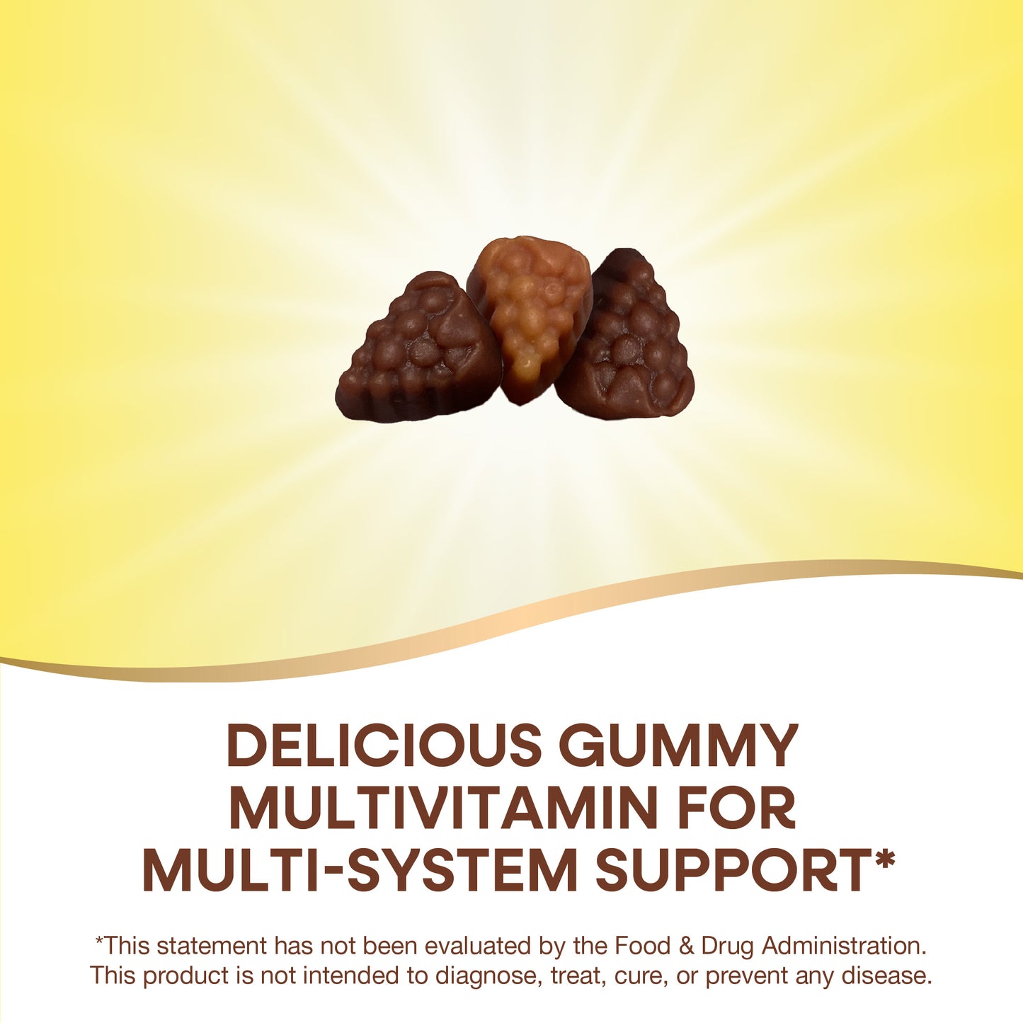 <{%MAIN4_15817%}>Nature's Way® | Alive! Adult Premium Gummy Multivitamin