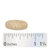 Nature's Way® | Alive! Men's 50+ Complete Multivitamin - Tablet and ruler Sku:13661