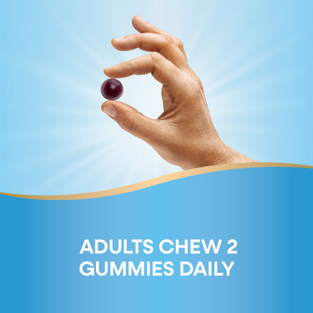 Stress Defense Gummies Supplement Facts