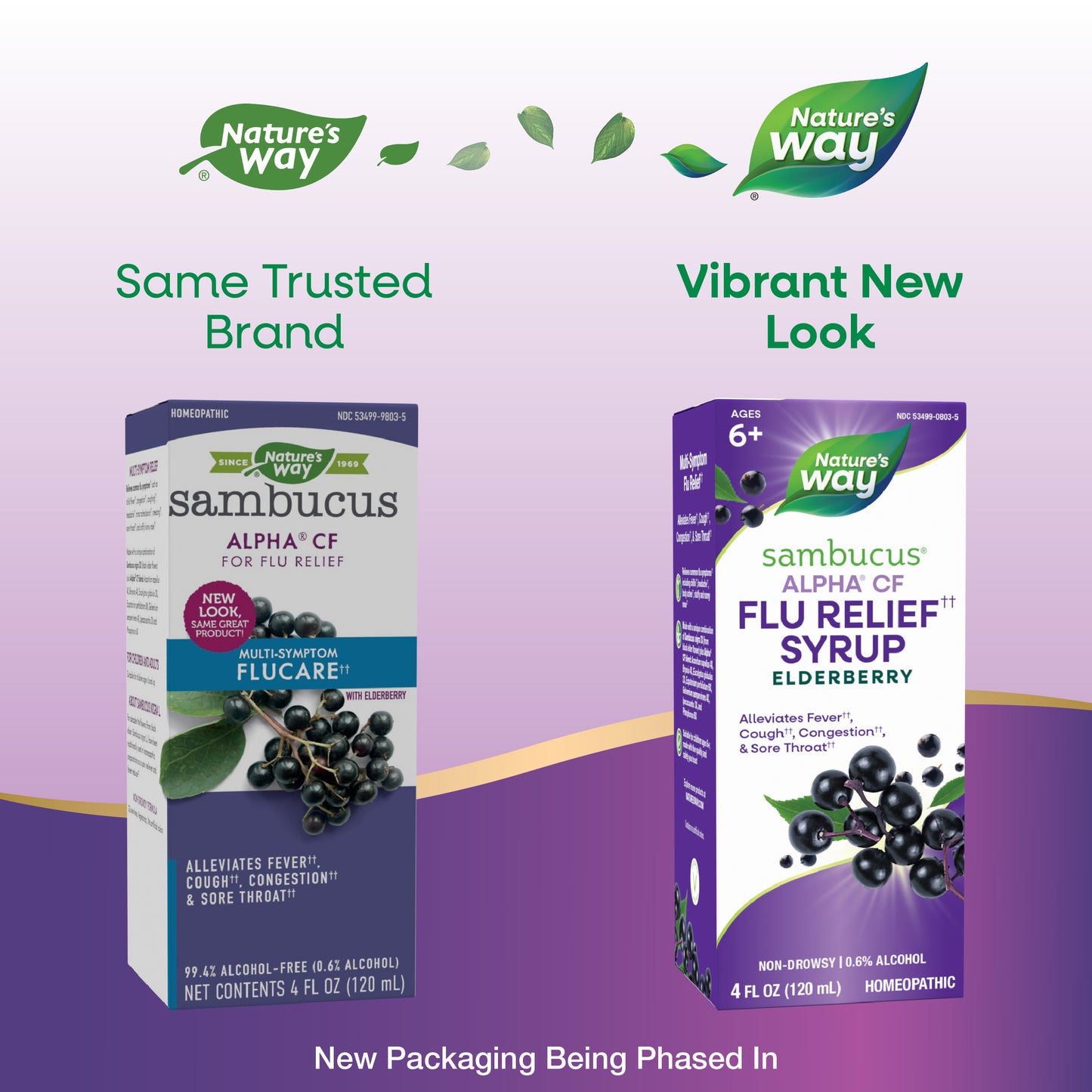 <{%MAIN1_15803%}>Nature's Way® | Sambucus Flu Relief Syrup - package updates old to new